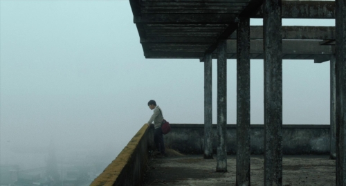 Inside The Yellow Cocoon Shell 37