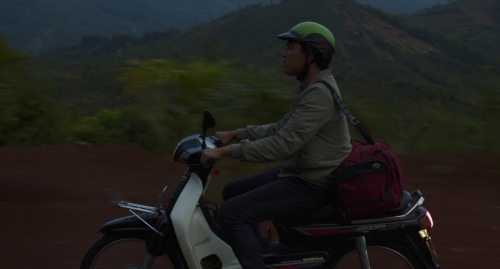 Inside The Yellow Cocoon Shell 40