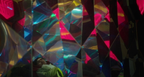 Inside The Yellow Cocoon Shell 42