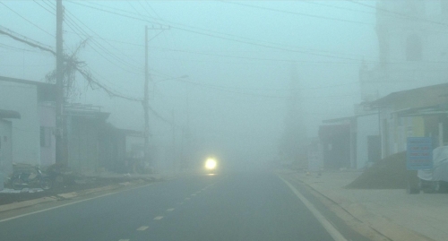 Inside The Yellow Cocoon Shell 44