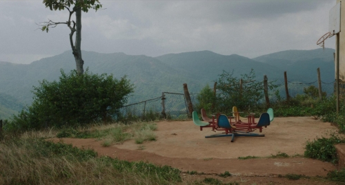 Inside The Yellow Cocoon Shell 46