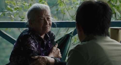 Inside The Yellow Cocoon Shell 48