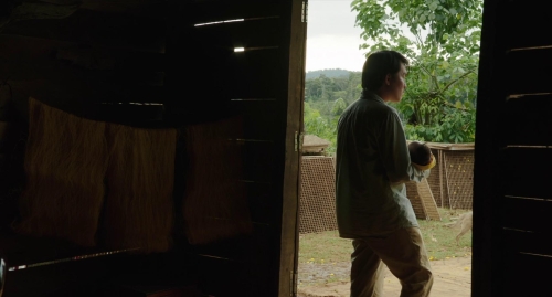 Inside The Yellow Cocoon Shell 52