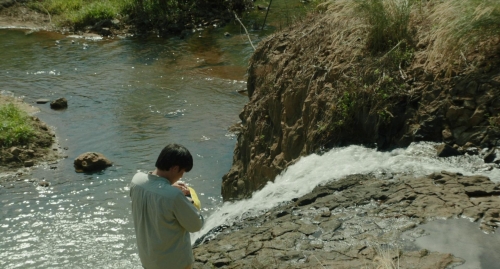 Inside The Yellow Cocoon Shell 54