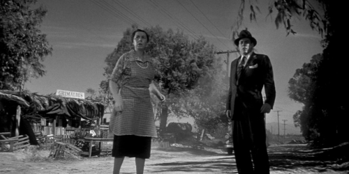 Invasion of the Bodysnatchers 1954 06
