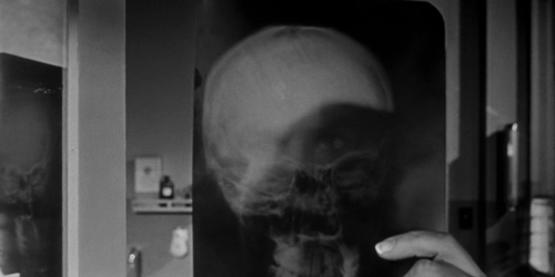 Invasion of the Bodysnatchers 1954 07