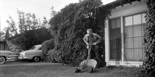 Invasion of the Bodysnatchers 1954 11