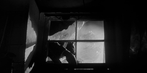 Invasion of the Bodysnatchers 1954 23