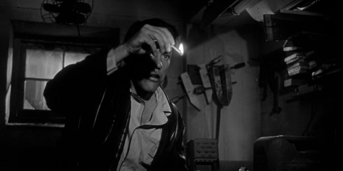 Invasion of the Bodysnatchers 1954 24