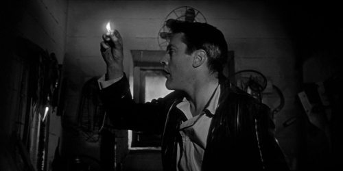 Invasion of the Bodysnatchers 1954 25