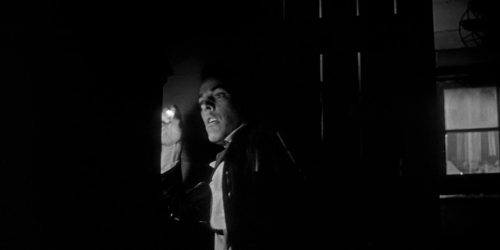 Invasion of the Bodysnatchers 1954 26