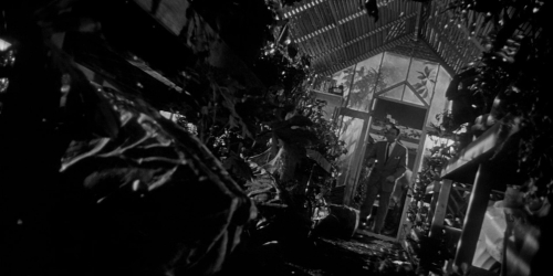 Invasion of the Bodysnatchers 1954 32