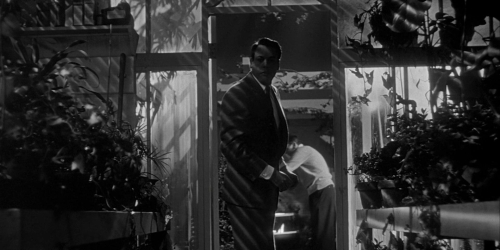 Invasion of the Bodysnatchers 1954 34