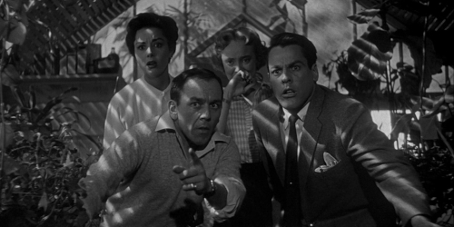 Invasion of the Bodysnatchers 1954 36