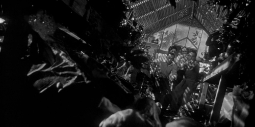 Invasion of the Bodysnatchers 1954 37