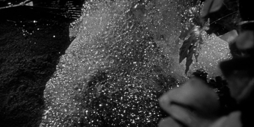 Invasion of the Bodysnatchers 1954 40