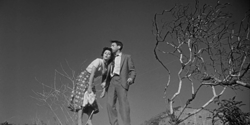 Invasion of the Bodysnatchers 1954 58