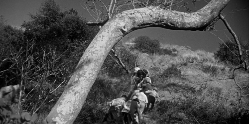 Invasion of the Bodysnatchers 1954 59