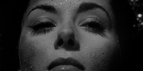 Invasion of the Bodysnatchers 1954 61
