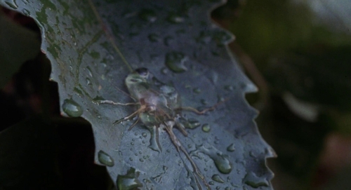 Invasion of the Bodysnatchers 1978 04