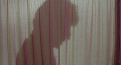 Invasion of the Bodysnatchers 1978 20