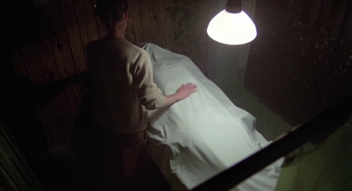Invasion of the Bodysnatchers 1978 26