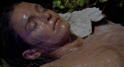 Invasion of the Bodysnatchers 1978 34