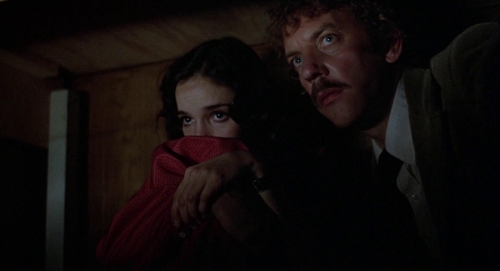 Invasion of the Bodysnatchers 1978 53