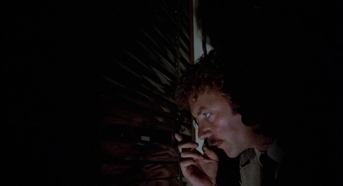 Invasion of the Bodysnatchers 1978 54