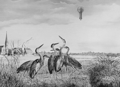 Invention for Destruction 09