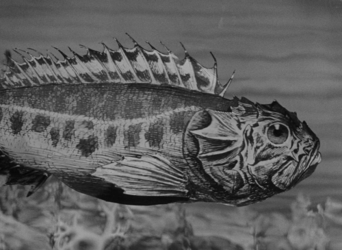 Invention for Destruction 47