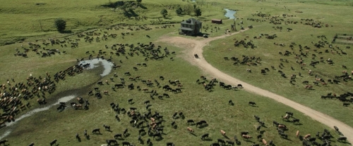 Killers of the Flower Moon 07