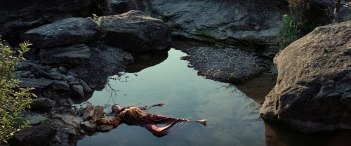 Killers of the Flower Moon 10