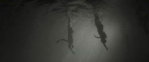 Kinds of Kindness 36