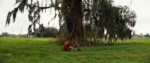 Kinds of Kindness 57