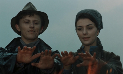 Larks on a String 46