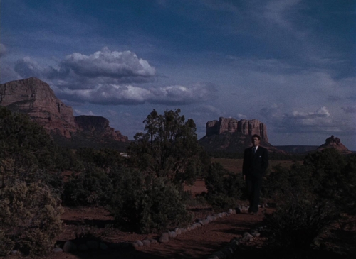 Leave Her to Heaven15