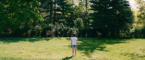 Leave The World Behind 26