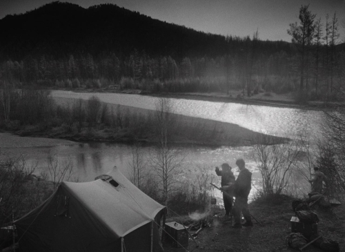 Letter Never Sent 08