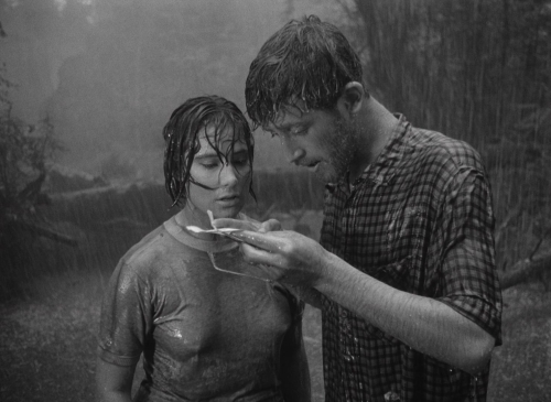 Letter Never Sent 11