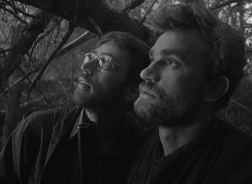 Letter Never Sent 12