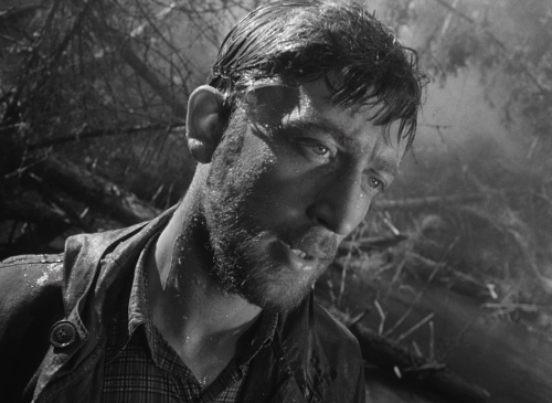 Letter Never Sent 13