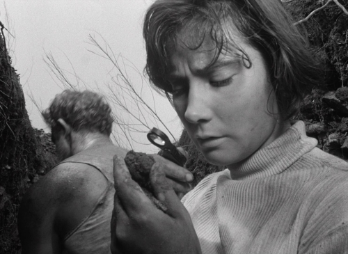 Letter Never Sent 18