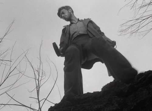 Letter Never Sent 19