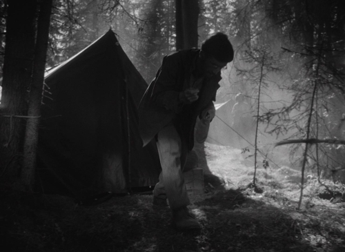 Letter Never Sent 21