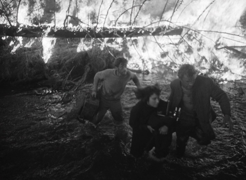 Letter Never Sent 23