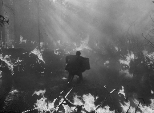 Letter Never Sent 24