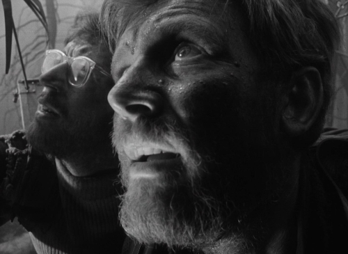 Letter Never Sent 33