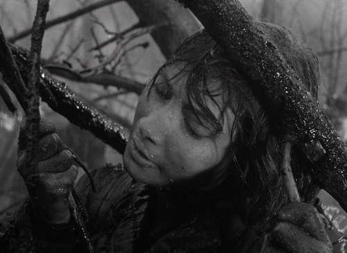 Letter Never Sent 35