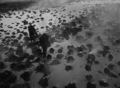 Letter Never Sent 38